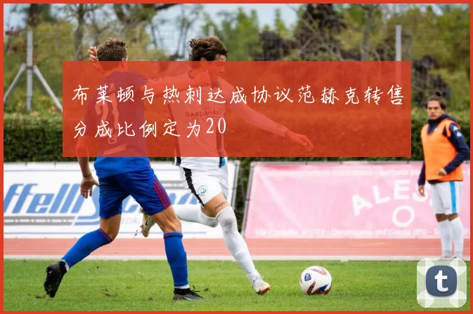 布莱顿与热刺达成协议范赫克转售分成比例定为20
